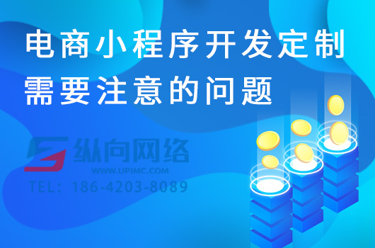 电商小程序开发定制需要注意的问题