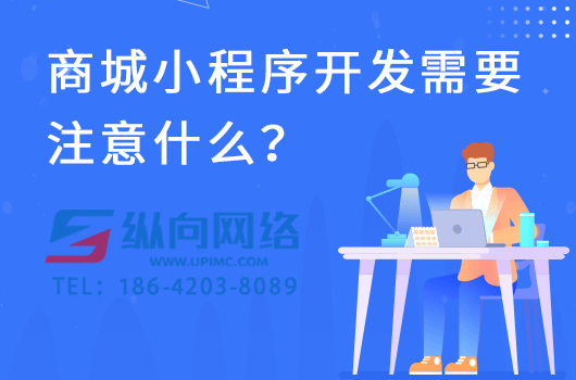 商城小程序开发需要注意什么？